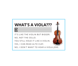 What's a Viola? Sticker